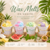 WAX VASITO PORTADA Wax Melts en Vasito