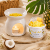 WAX VASITO Y PEBETERO Wax Melts en Vasito